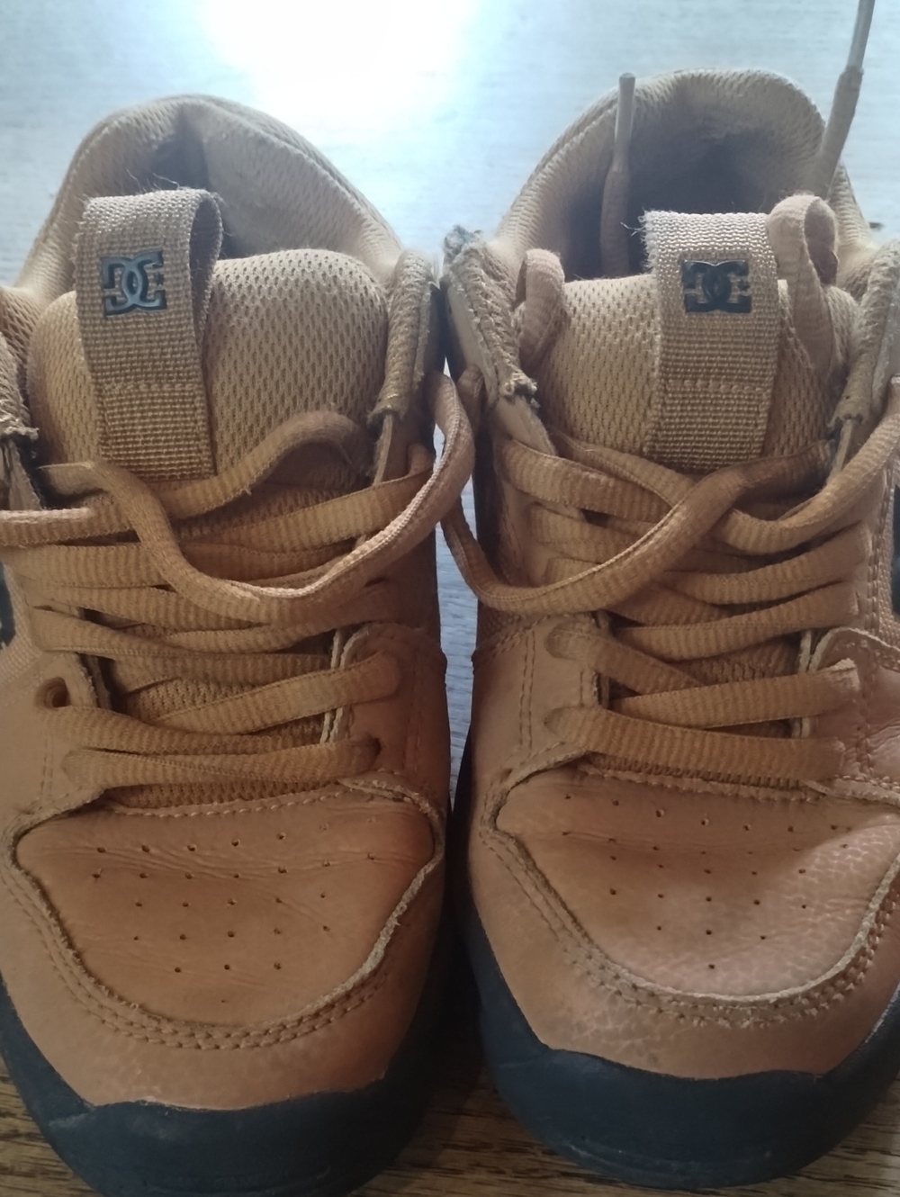 DC Kids Tan Skate Sneakers in Wheat Brown